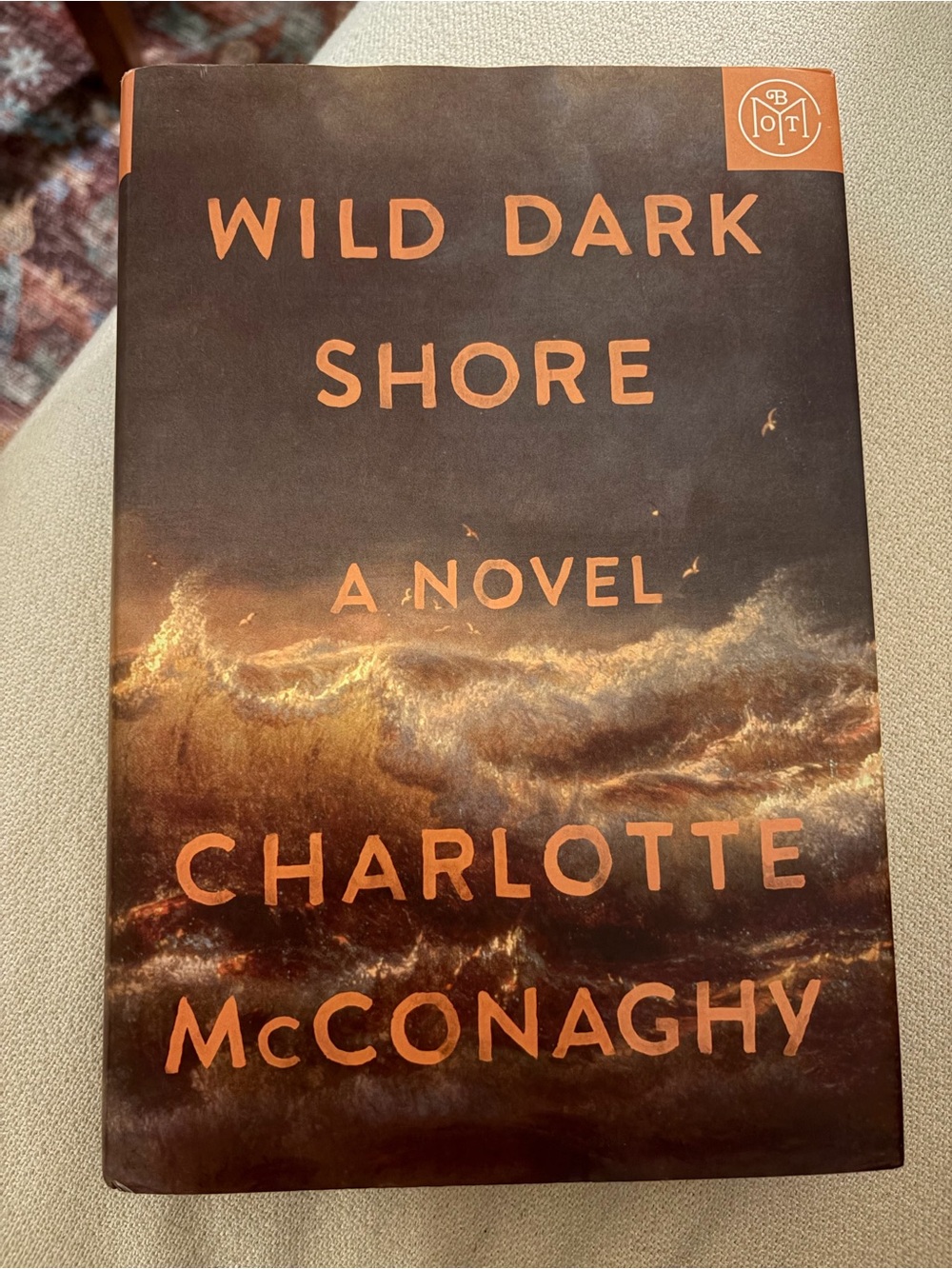 Wild Dark Shore - Hardcover
